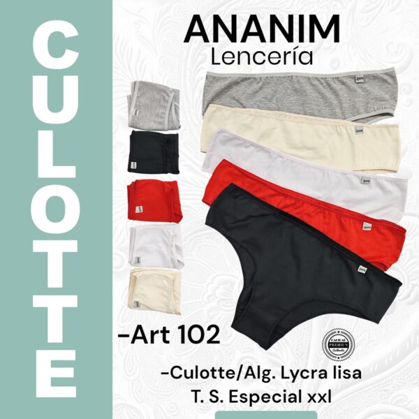 Culotte algodón y lycra lisa TALLE ESPECIAL.