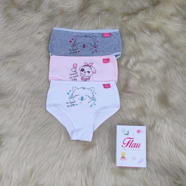 Bombachas de nena de algodón, pack x3.